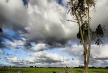 天涯社区十大神贴合集：重温网络文化黄金时代